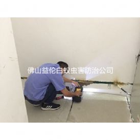 三水房屋勘查防治白蚁工程