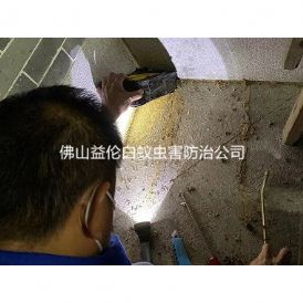 祖庙房屋白蚁防治工程