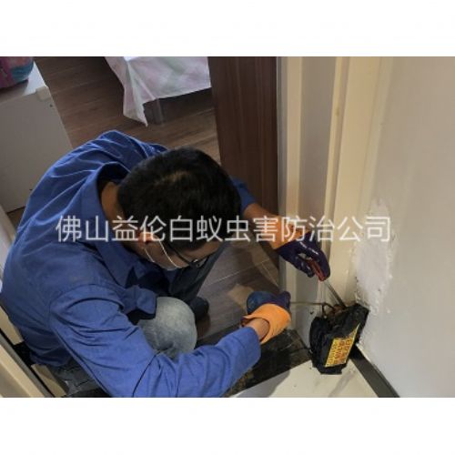 张槎住宅白蚁防治工程