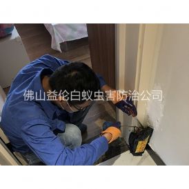 张槎住宅白蚁防治工程