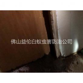 石湾房屋防治白蚁工程