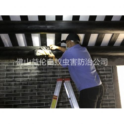张槎祠堂杀灭白蚁工程