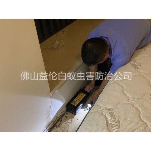 禅城家居白蚁灭治工程