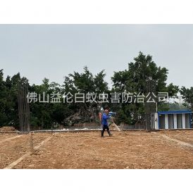 南庄新建地基预防白蚁工程