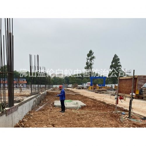 张槎地基防白蚁工程