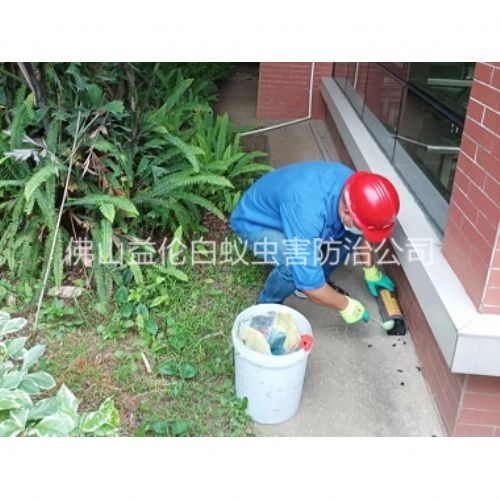 禅城施药灭鼠工程