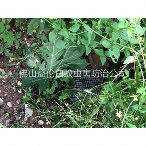 南庄住宅区处理蛇患工程