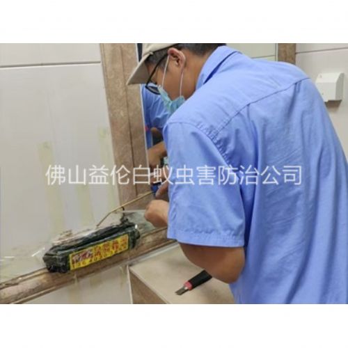 溶洲诱杀箱施药灭杀白蚁工程