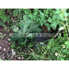 南庄住宅区处理蛇患工程
