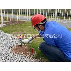 石湾红火蚁防治工程