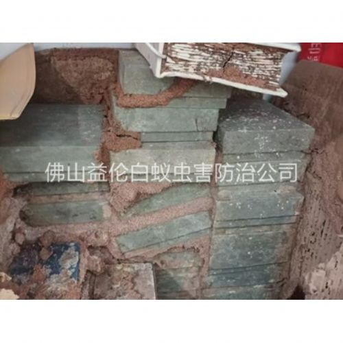 佛山防治白蚁危害工程
