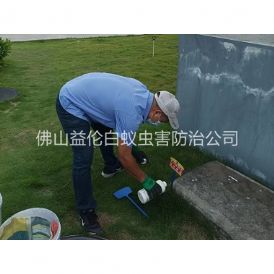 祖庙灭除红火蚁工程