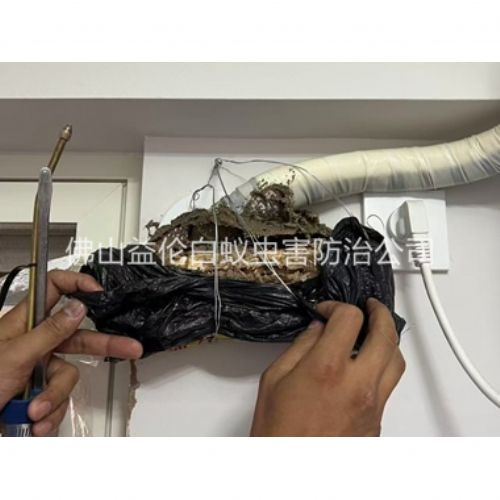 石湾房屋白蚁诱杀工程
