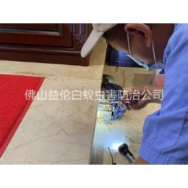 张槎装置诱杀箱监测白蚁工程