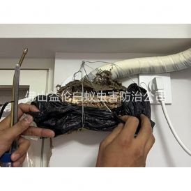 石湾房屋白蚁诱杀工程
